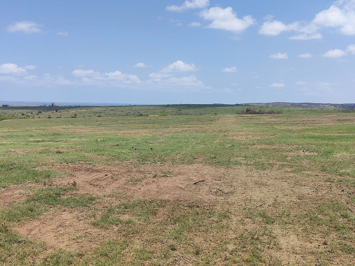 Smooth cleared land by Pasture Tech