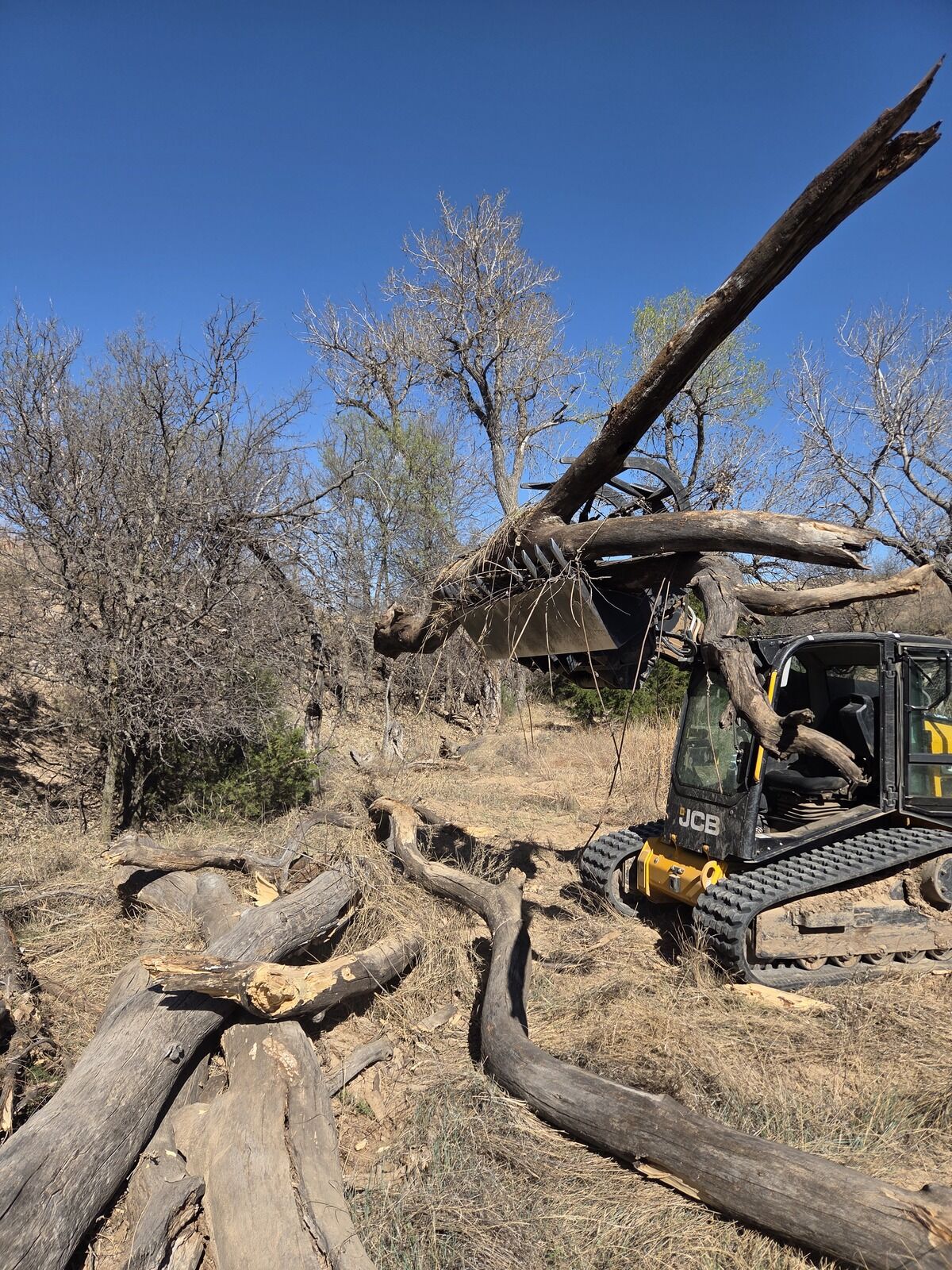 Pasture Tech brush cleanup result