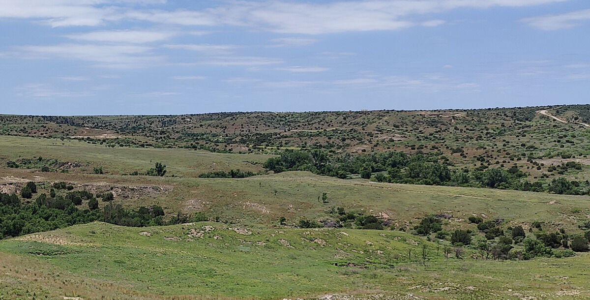 Pasture Tech grubbed vs ungrubbed land comparison