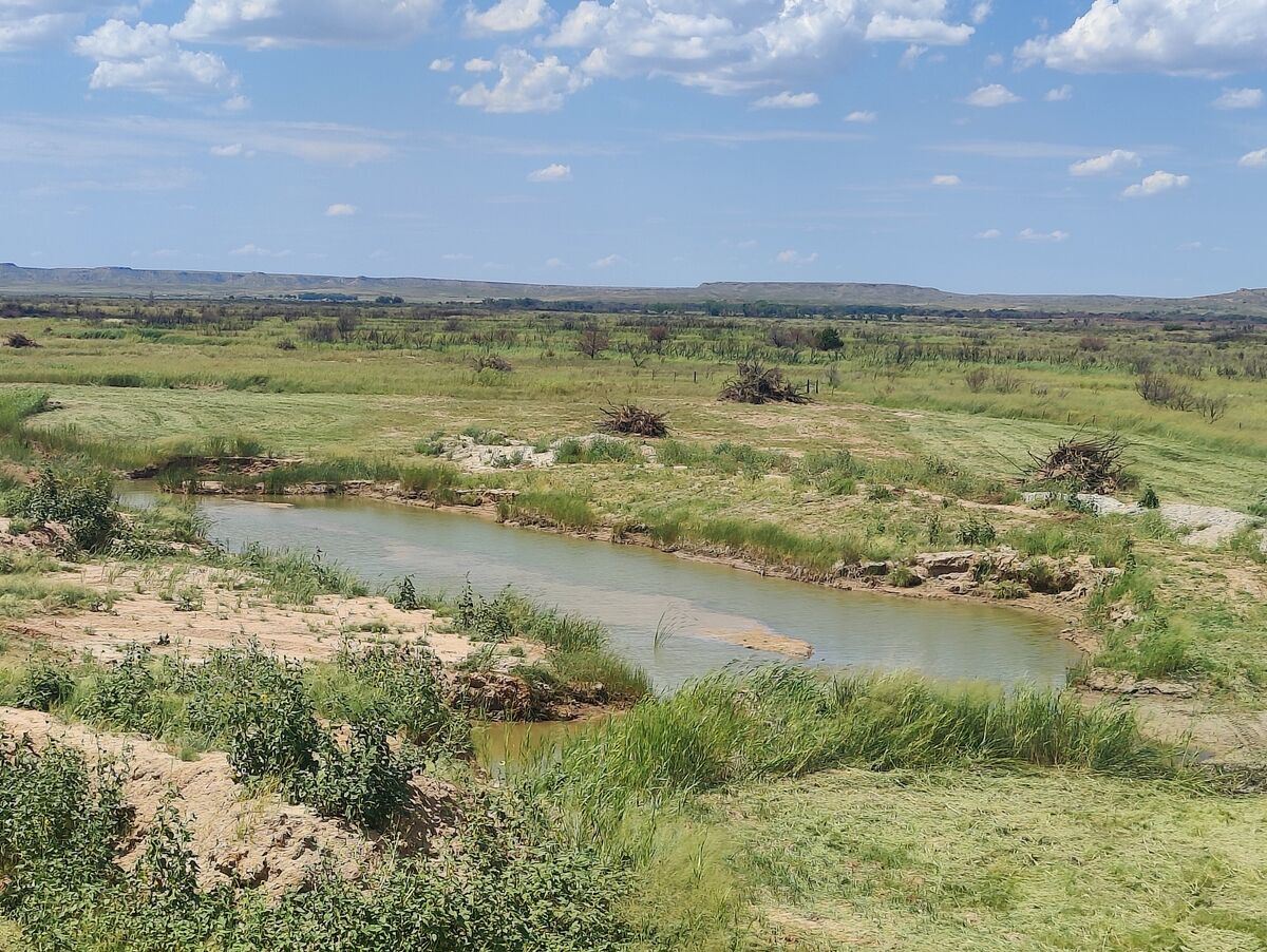 Pasture Tech livestock pond construction