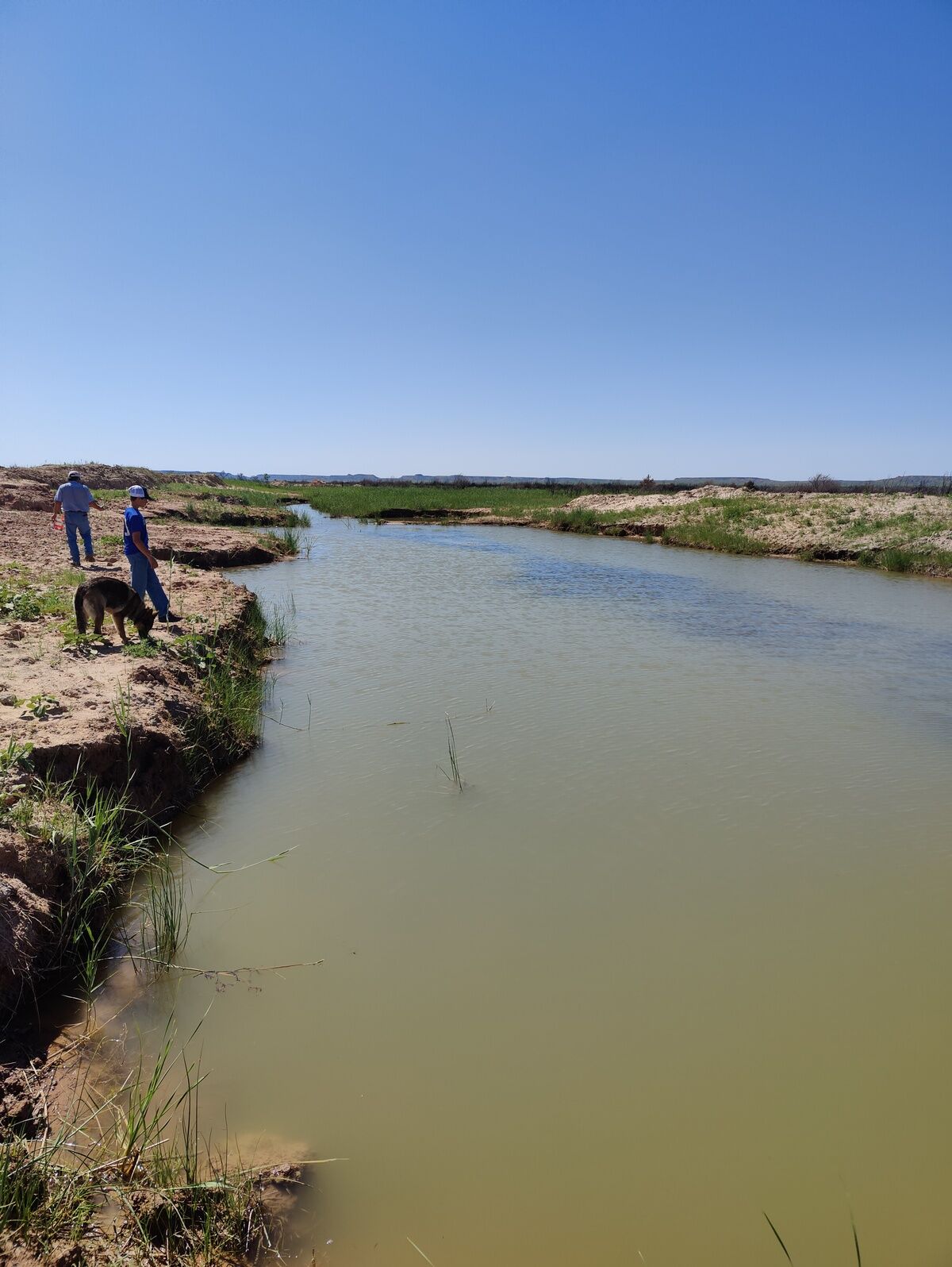 Completed pond by Pasture Tech