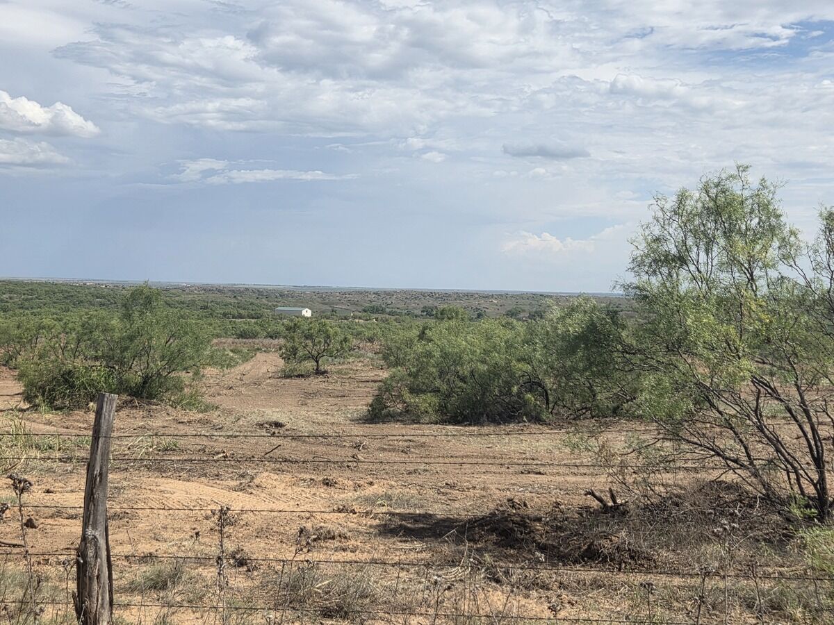 Pasture cleared of mesquite on a Texas Panhandle ranch