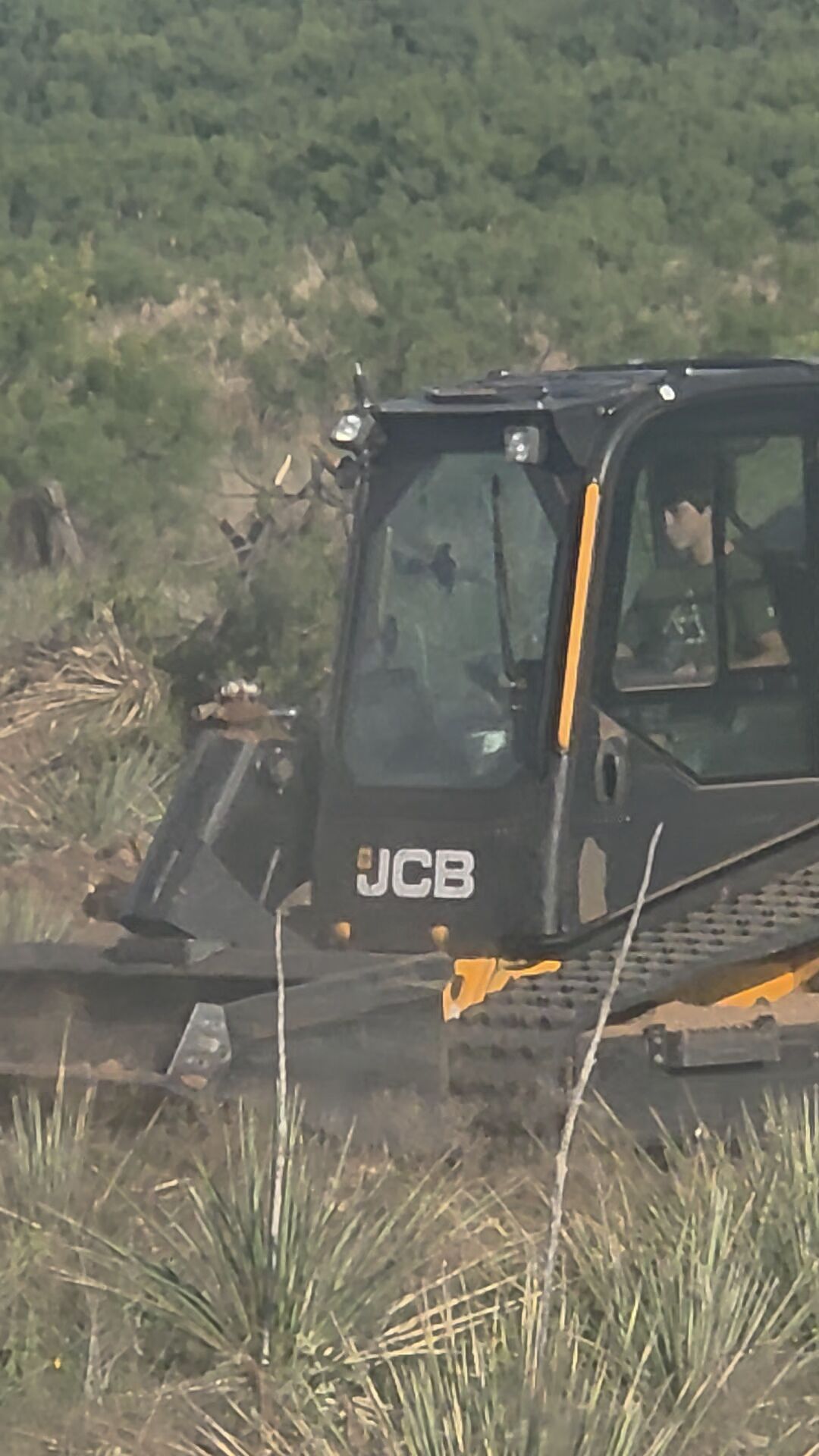 Skid steer mulcher clearing mesquite on a Texas Panhandle ranch